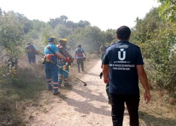 Üsküdar Belediyesi'nden Validebağ Korusu'na 'şafak operasyonu'