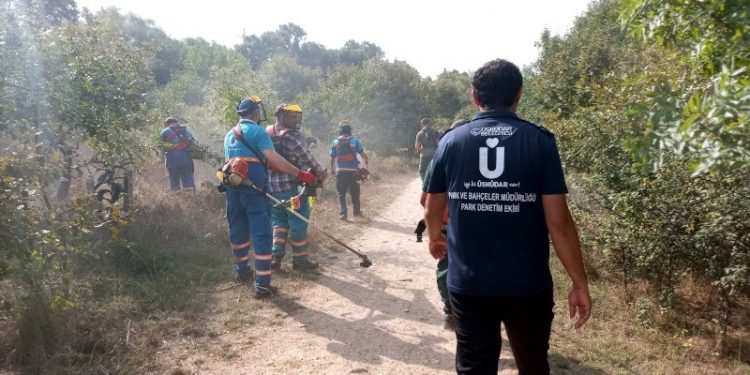 Üsküdar Belediyesi'nden Validebağ Korusu'na 'şafak operasyonu'