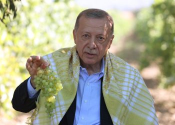 Üzümde taban fiyat 27 TL oldu, CHP’den tepki geldi: Üreticiye hakarettir