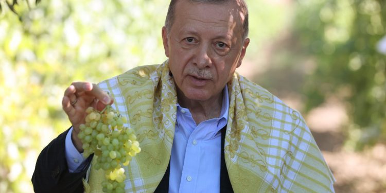 Üzümde taban fiyat 27 TL oldu, CHP’den tepki geldi: Üreticiye hakarettir