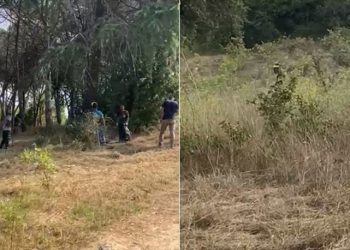 Validebağ Korusu'na 'ot biçme bahanesiyle' yeniden girildi: Polis, zabıta, belediye işçileri...