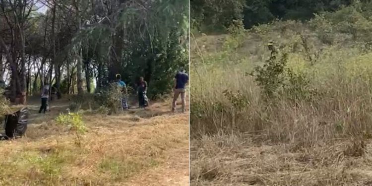 Validebağ Korusu'na 'ot biçme bahanesiyle' yeniden girildi: Polis, zabıta, belediye işçileri...