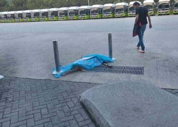 Yolcu otobüsünde bagaja konan köpek öldü