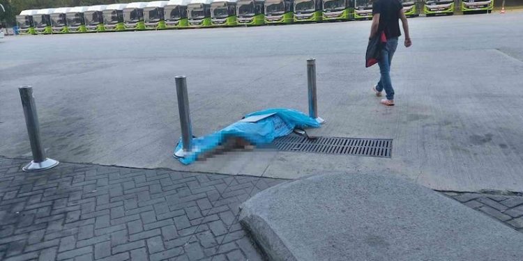 Yolcu otobüsünde bagaja konan köpek öldü