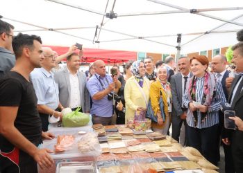 ‘Sokak köpeği Meral Akşener’i ısırdı’ iddiası