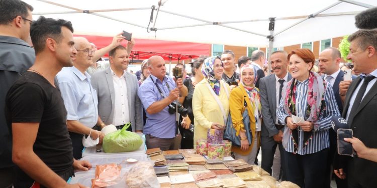 ‘Sokak köpeği Meral Akşener’i ısırdı’ iddiası