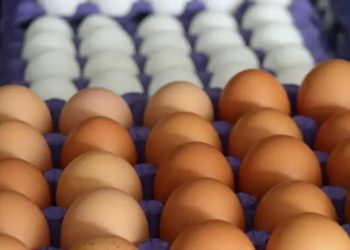 30’lu organik yumurta paketi 120 lira oldu 