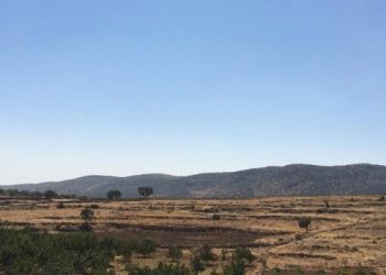 Omeriya’daki çatışmalarda 4 asker ve 1 korucu yaralandı