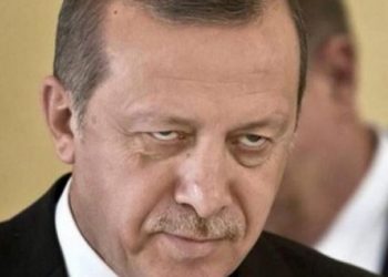 Erdoğan, Şık’ı hedef aldı: Bu zat teröristin tekidir