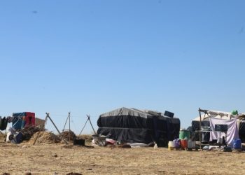 Bala’da mevsimlik işçilik: Göç, yoksulluk ve kadın dayanışması