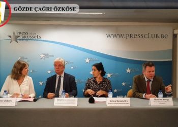 Avukat Theune: Türkiye İmralı’da suç işliyor