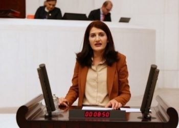 HDP’li Güzel’den mesaj: Karar siyasi, bizler kazanacağız!