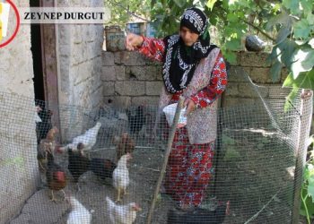 Şiddet gören mülteci Soda Elvadu: 36 defa ev değiştirdim