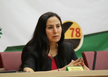 Sürücü: Barış ve adaletin yolu İmralı’dan geçer
