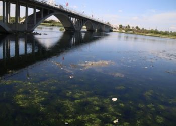 Fırat Nehri çöp akıyor