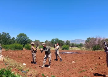 Diyarbakır’da 74 Milyon Kök Kenevir Ele Geçirildi