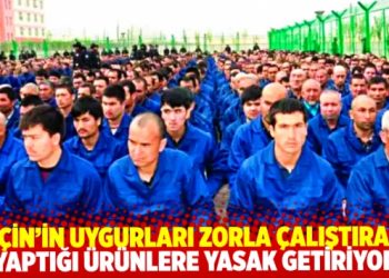 AB, Uygur kamplarında zorla &ccedil;alıştırma ile &uuml;retilen &uuml;r&uuml;nlere yasak getiriyor