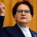 Akşener'den şiirli Amini paylaşımı: Başkaldırma ancak saçlarından tutulur