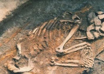 'Anadolu'nun Antik Genetik Profili' çıkarıldı: Urartu medeniyeti Van kökenli