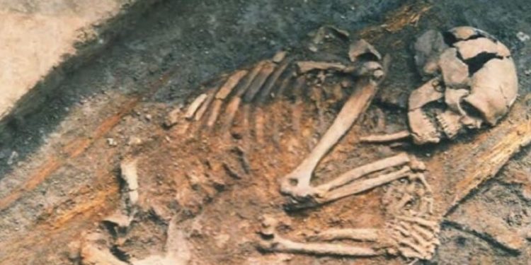 'Anadolu'nun Antik Genetik Profili' çıkarıldı: Urartu medeniyeti Van kökenli