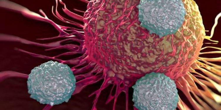 Araştırma: K﻿anser hücrelerini öldüren virüs, hastalar üzerinde olumlu sonuç verdi