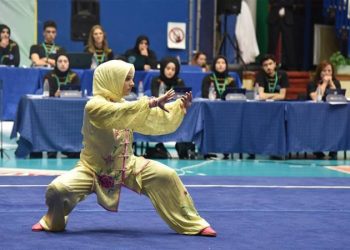 Avrupa Wushu Kungfu Federasyonu, Türkiye'nin üyeliğini askıya aldı