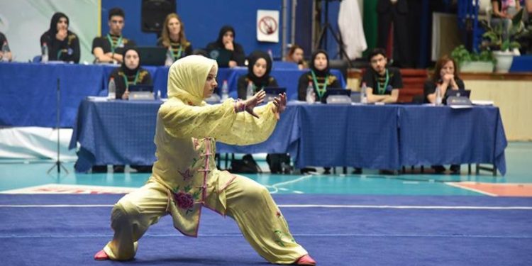 Avrupa Wushu Kungfu Federasyonu, Türkiye'nin üyeliğini askıya aldı