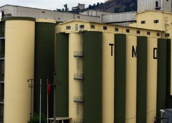 Borcu 5,5 milyar ulaşan TMO 20 bin şapka ihalesi yaptı