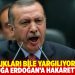 CHP'li Erkek 305 çocuğa cumhurbaşkanına hakaretten dava açıldığını açıkladı: