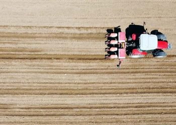 Çiftçi sayısı 500 binin altına geriledi