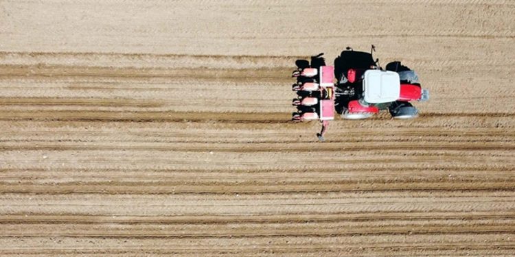 Çiftçi sayısı 500 binin altına geriledi