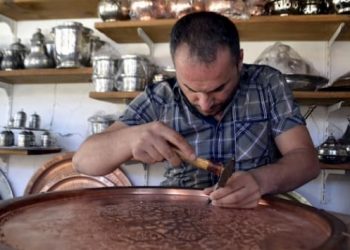 &Ccedil;ırak yetiştirene 250 bin lira hibe desteği: Başvurular bug&uuml;n başlıyor