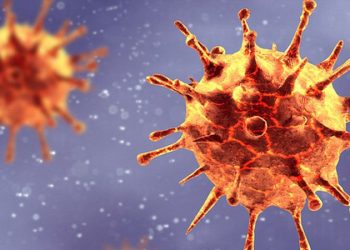 DSÖ: Yeni bir varyant görülmezse Covid-19 salgını yakın zamanda bitebilir