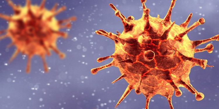 DSÖ: Yeni bir varyant görülmezse Covid-19 salgını yakın zamanda bitebilir