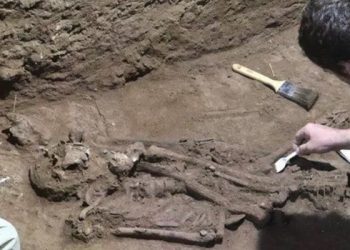 Endonezya'daki bir mağarada 31 bin yıl önce yapılmış en eski ampütasyona dair kanıtlar bulundu