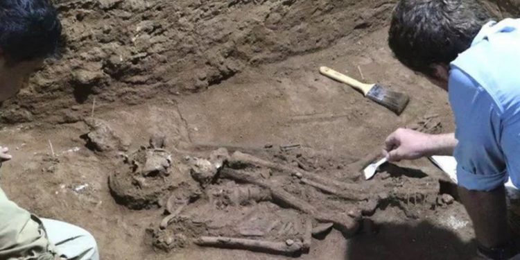 Endonezya'daki bir mağarada 31 bin yıl önce yapılmış en eski ampütasyona dair kanıtlar bulundu