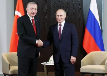Erdoğan-Putin görüşmesi: Putin Akkuyu anlaşmasını onayladı