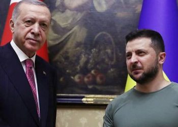 Erdoğan ve Ukrayna lideri Zelenski telefonda görüştü: 'Tek taraflı referandumlar diplomatik süreci zora sokar'