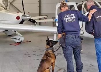 Europol, Türkiye’den özel uçak ve sahte diplomatik pasaportlarla insan kaçıran örgütü çökertti