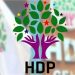 HDP'den Semra Güzel’e 'şiddet uygulanmasına dair' suç duyurusu