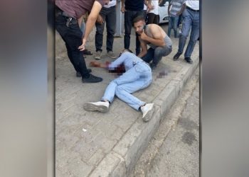 HDP’li Günay Midyat’taki polis cinayetini sordu: Talimatı kim verdi?