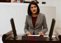 HDP'li Semra Güzel yakalandı