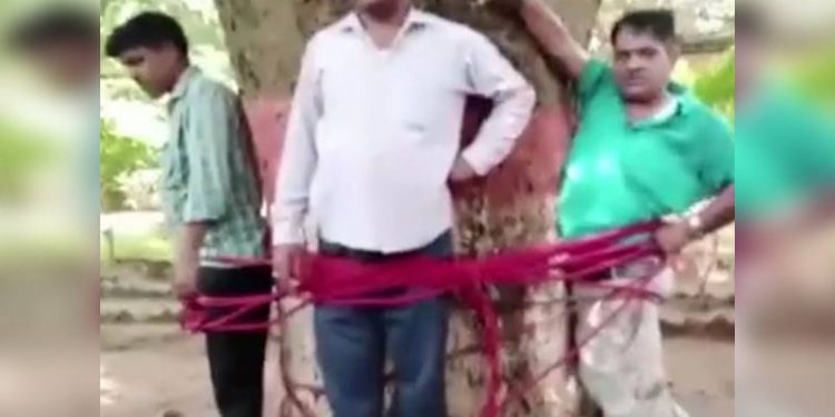 Hindistan'da 'düşük not verdikleri' gerekçesiyle öğretmenlerini ağaca bağlayarak darp ettiler