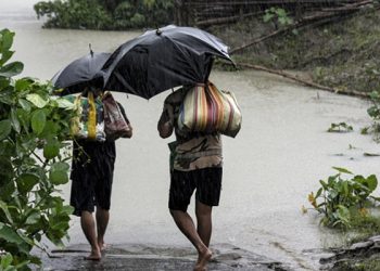 Hindistan'da son 24 saatte şiddetli yağışlar ve yıldırım düşmesi nedeniyle 36 kişi öldü