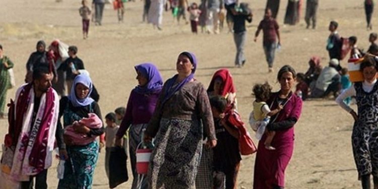IŞİD'in ardından 100 bin Ezidi Kürt, yurt dışına göç etti