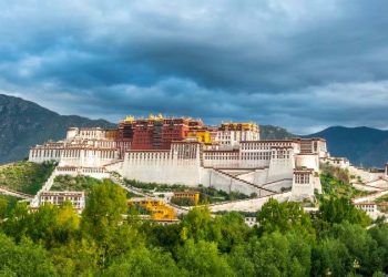 İddia: Çin, Tibet Bölgesi'nde yaşayanların DNA örneklerini topluyor
