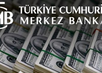 İddia: Merkez Bankası ilk 8 ayda 75 milyar dolar döviz sattı