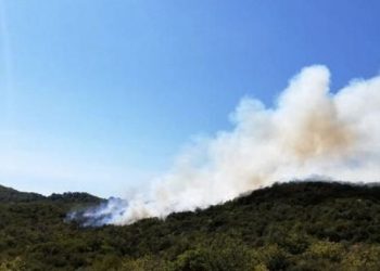 Kaş'ta ağaçlandırma sahasındaki yangın yeniden başladı