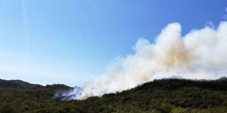 Kaş'ta ağaçlandırma sahasındaki yangın yeniden başladı