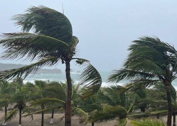 Kay Kasırgası Meksika’da karaya vurdu: 2 bin 595 kişi tahliye edildi